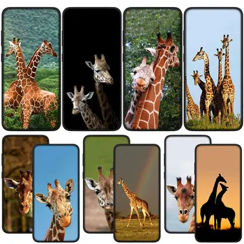 Hayvan Zürafa Yumuşak Telefon Kapak için Samsung Galaxy S23 S22 Ultra S21 S20 Fe S8 Artı A12 A13 A21S A71 silikon Kılıf