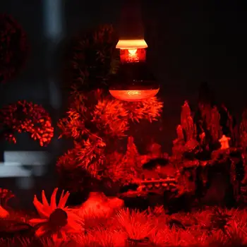 Pet Kırmızı ısıtma lambası E27 Gündüz Gece Amfibi Yılan Lamba ısı Sürüngen Ampul UV ışık 25W 50W 100W AC220240V
